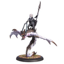 Hordes: Everblight Nyss Sorceress and Hellion Miniatures - Models