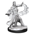 MTG Miniatures: Killian & Dina RPG - Miniatures