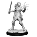 MTG Miniatures: Rowan & Will Kenrith RPG - Miniatures