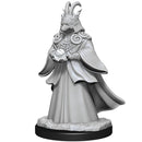 MTG Miniatures: Shapeshifters RPG - Miniatures