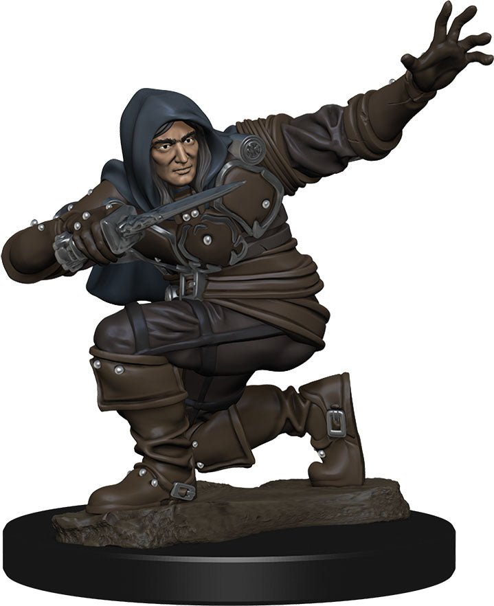 Pathfinder Battles: Premium Painted Figure - Human Rogue Male - RPG ...