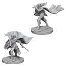 Pathfinder Deep Cuts: Elf Female Paladin RPG - Miniatures