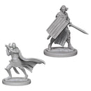 Pathfinder Deep Cuts: Elf Male Paladin RPG - Miniatures