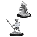 Pathfinder Deep Cuts: Hobgoblin RPG - Miniatures