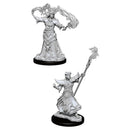 Pathfinder Deep Cuts: Male Human Sorcerer RPG - Miniatures