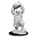 Pathfinder Deep Cuts: Ogre RPG - Miniatures