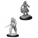 Pathfinder Deep Cuts: Pirates RPG - Miniatures