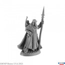 Reaper Bones: Elanter, The Lost Prince 30006 RPG - Miniatures
