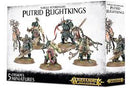 Warhammer Age of Sigmar Nurgle Rotbringers Putrid Blightkings Miniatures - Models
