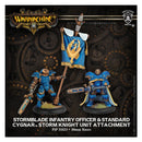 Warmachine: Cygnar Storm Blade Infantry Officer and Standard Miniatures - Models